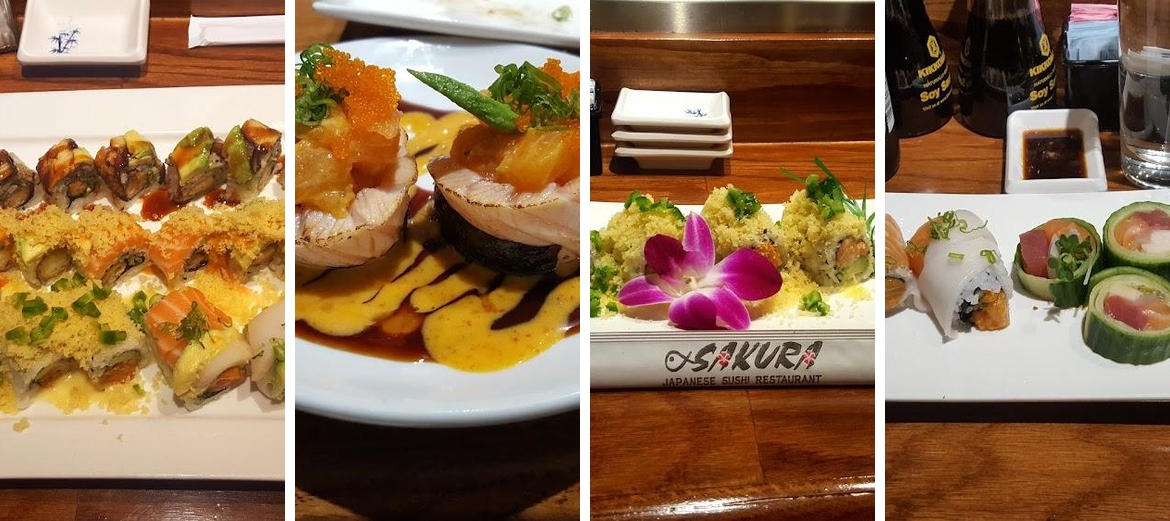 Sakura Japanese Sushi in Elsmere